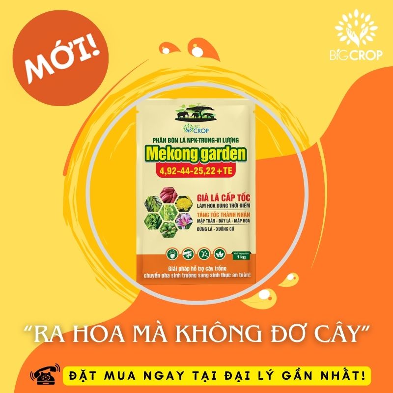 PHUN MEKONG GARDEN NHƯ THẾ NÀO ĐỂ ĐẠT ĐƯỢC HIỆU QUẢ CAO NHẤT TRÊN CÂY SẦU RIÊNG?